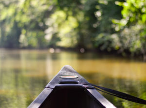A river seen over the prow of a canoe.
