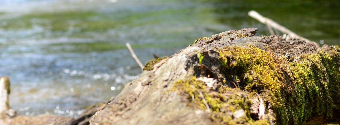 Septic System Effects On Lake Lanier The River Basin Center