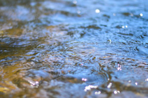 Ripples in a stream reflect and refract light.