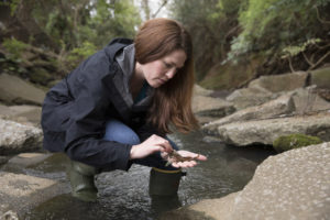 Professor Krista Capps searches through leaf-litter for macro-invertebrates in Tanyard Creek.