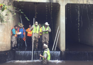 A group of people in safety vests stands under a concrete bridge culvert recording water samples.