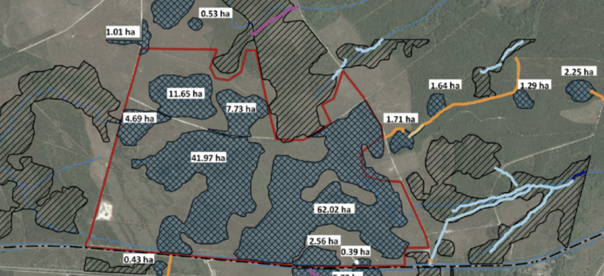 A portion of a map of Georgia's Okefenokee Swamp.