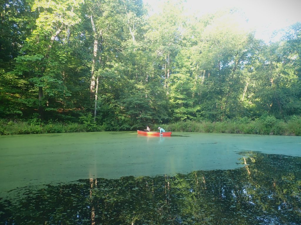 Laura Naslund and volunteer assistant Ally Whiteis paddle a canoe across a small pond for field sampling.