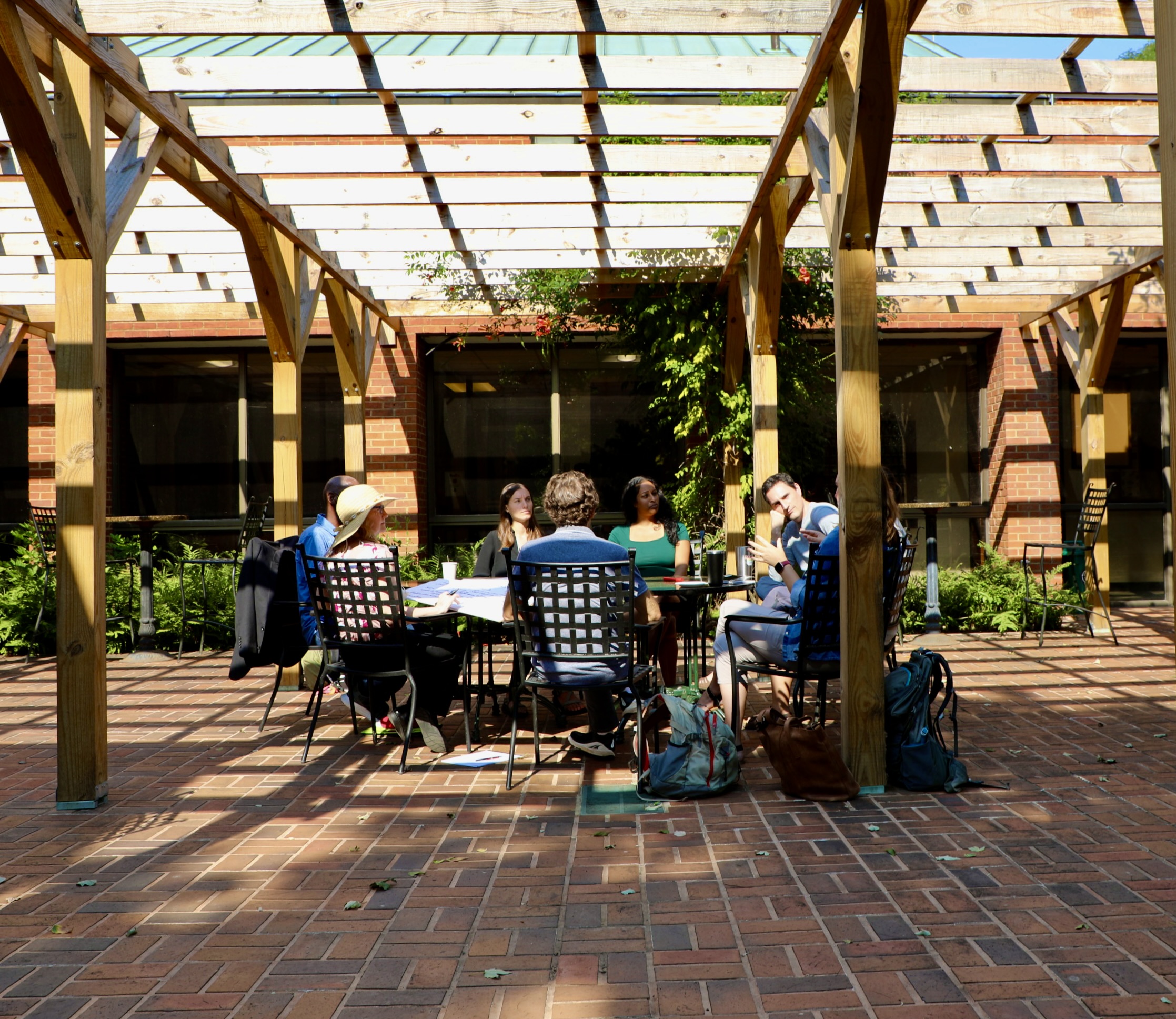 A group confers in a sunny courtyard.