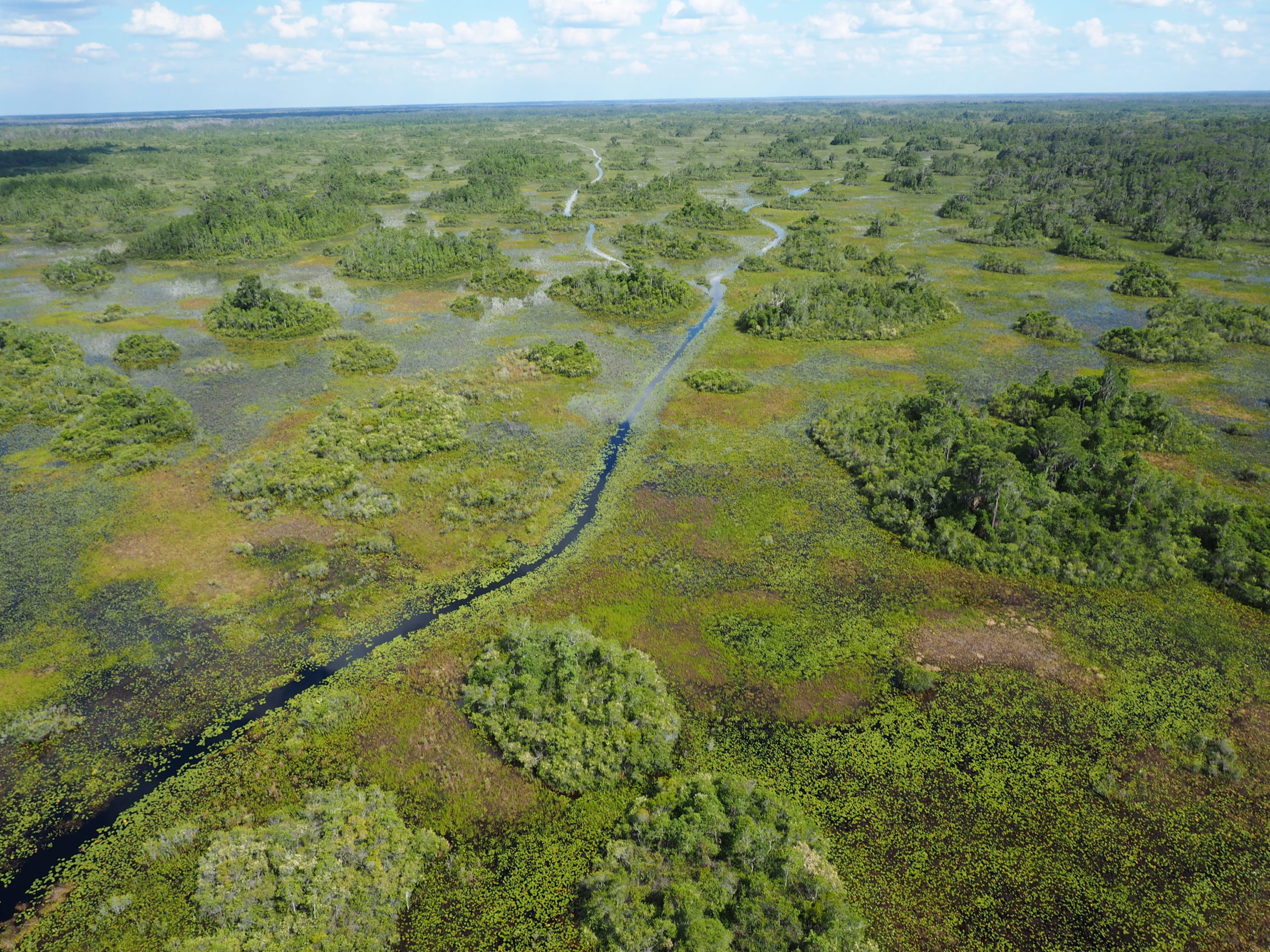 The Okefenokee Swamp - The River Basin Center