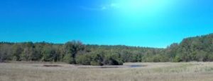 The Oconee Wildlife Management Area, GDNR.