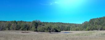 An image of the Oconee Wildlife Management Area, GDNR