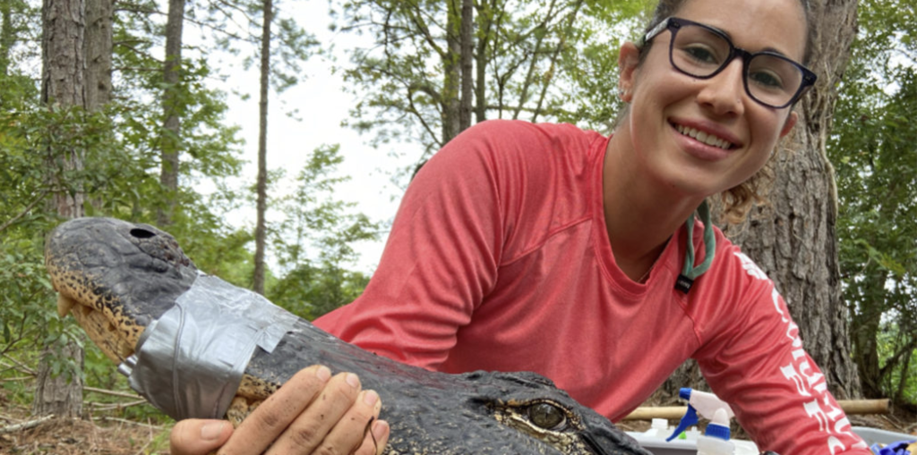 Laura Kojima holding an alligator