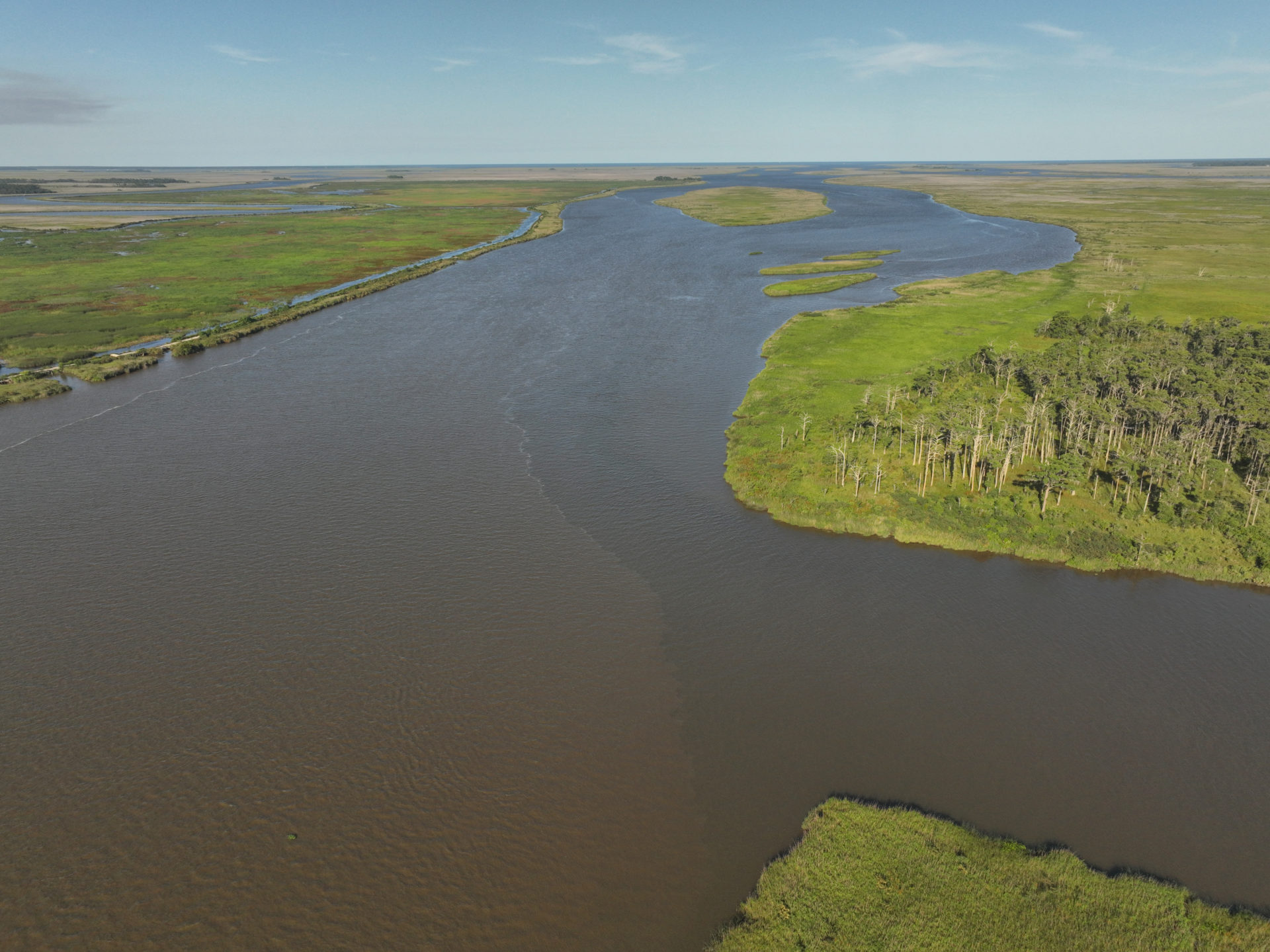 Altamaha - The River Basin Center