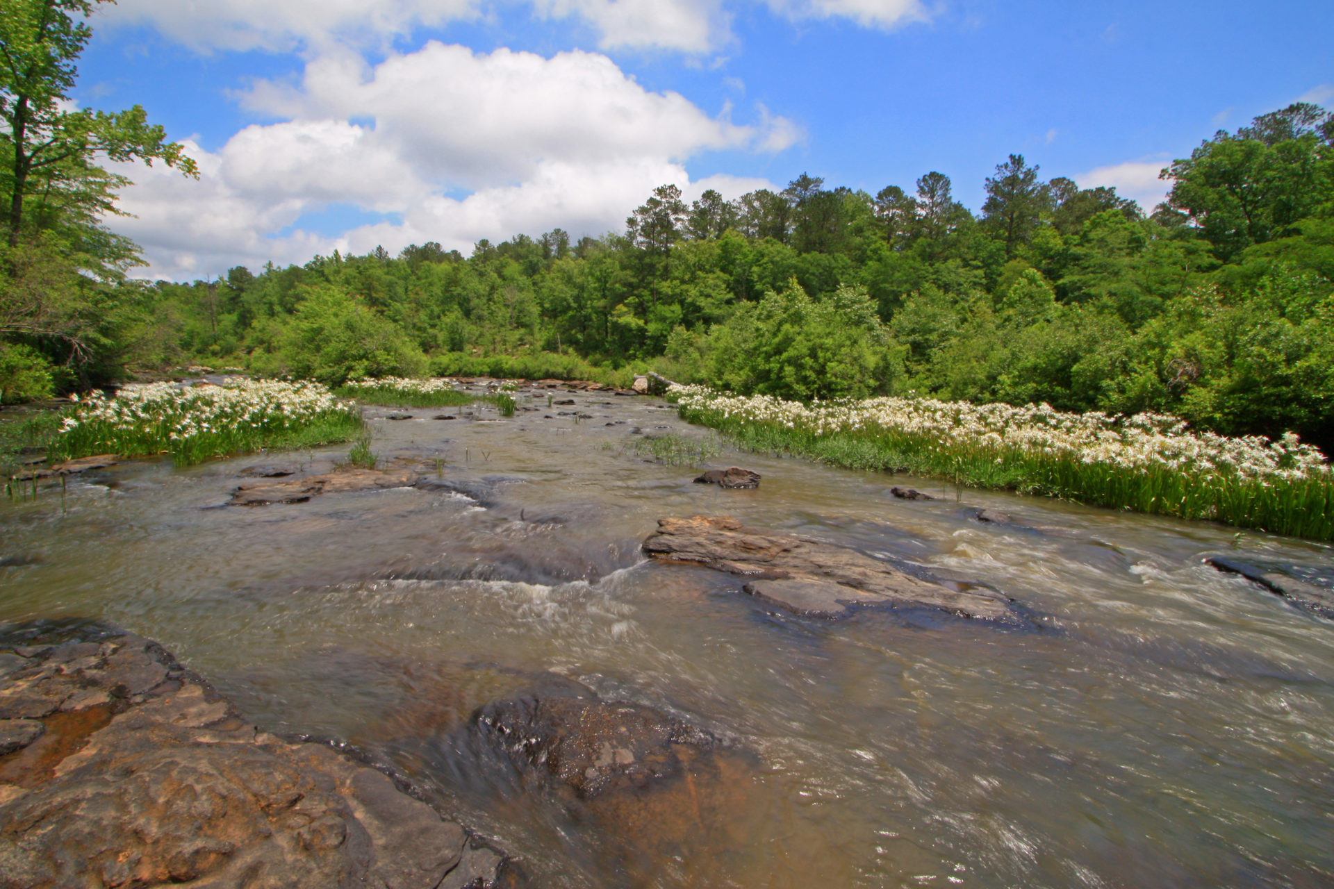 Chattahoochee The River Basin Center
