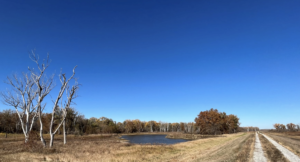 An image of the road and levee (right), with riverward land (left) showing evidence of past floods in the form of scour holes. Photo by Matt Chambers
