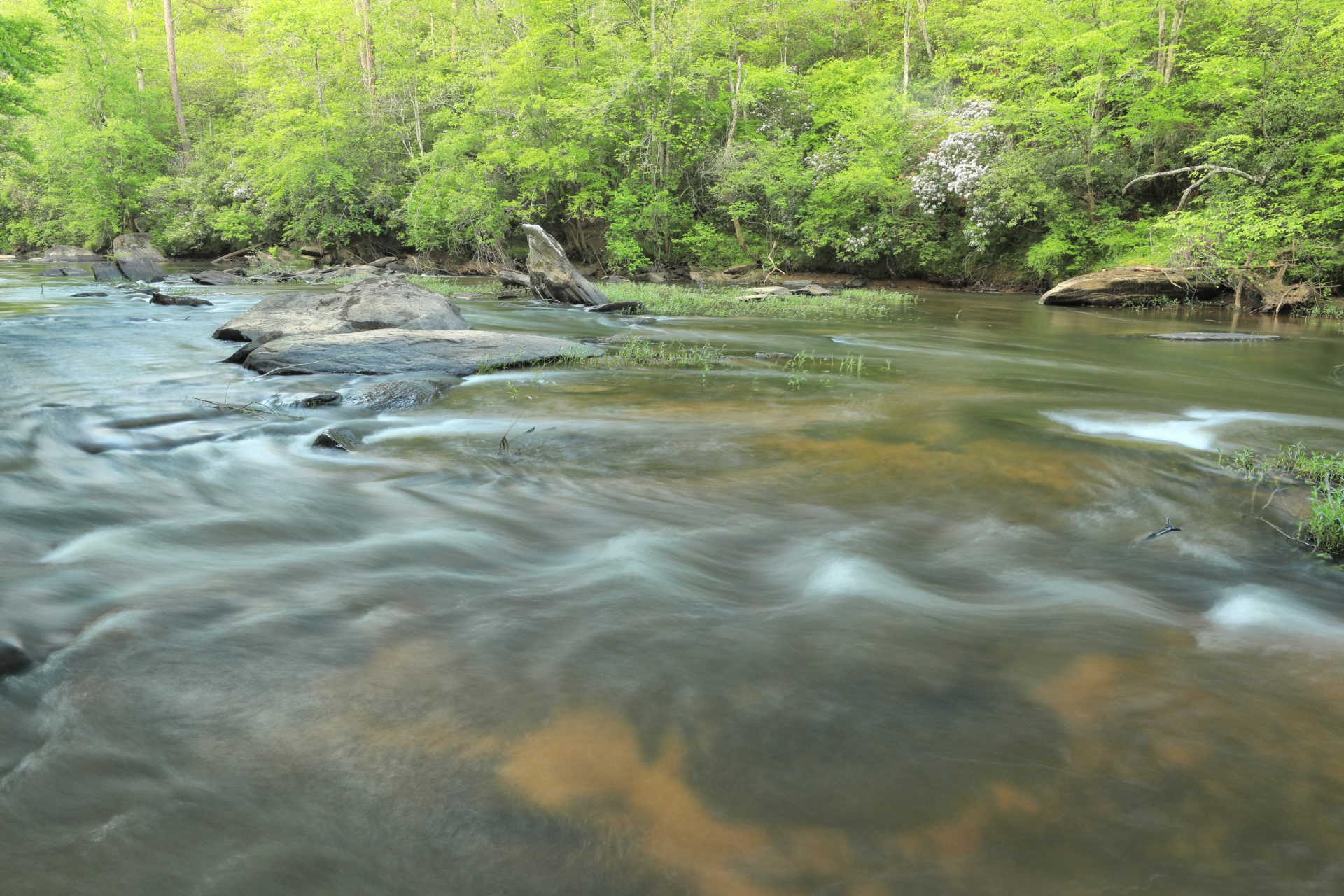 Tallapoosa - The River Basin Center