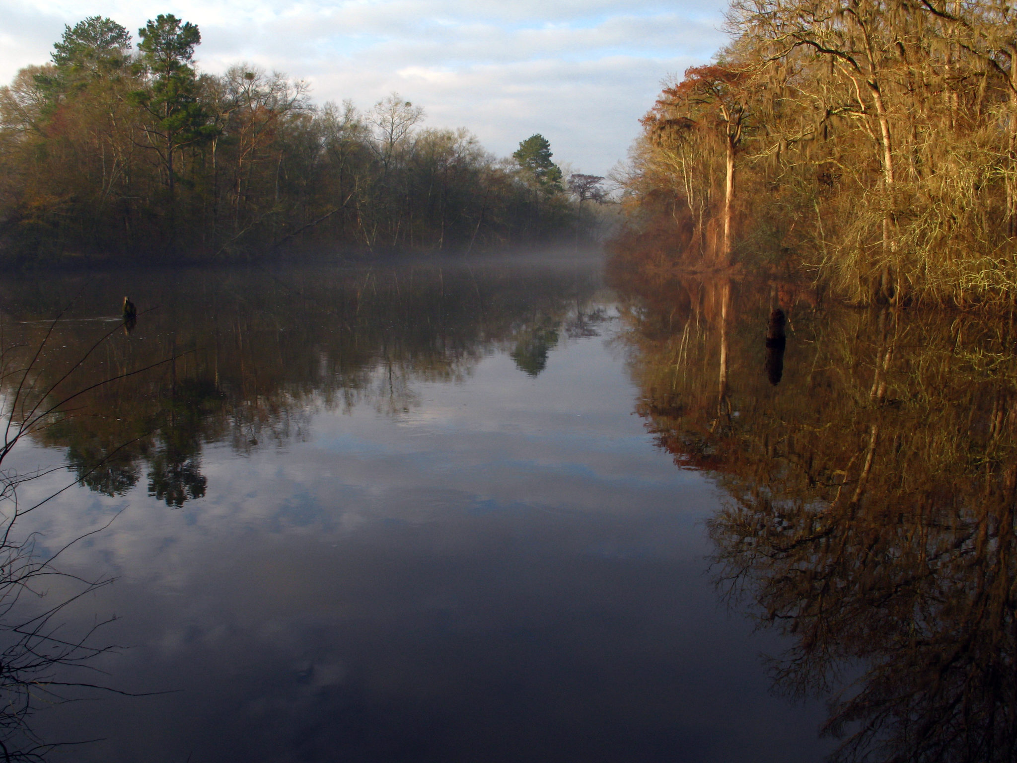 Ogeechee The River Basin Center