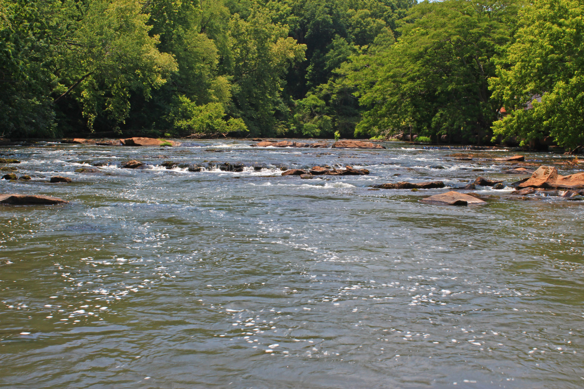 Oconee The River Basin Center