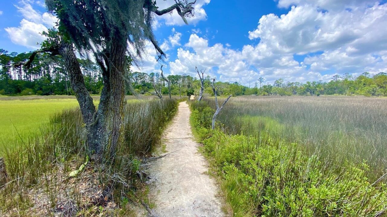 Ogeechee The River Basin Center