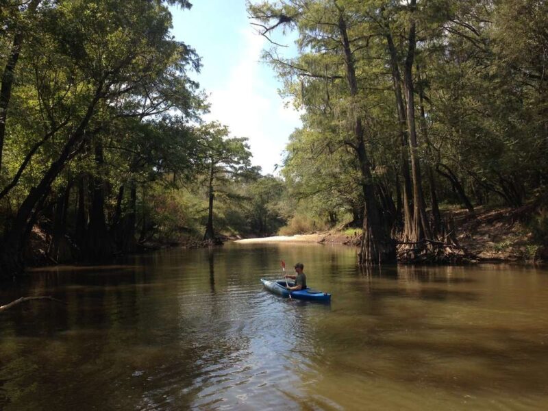 Ochlockonee The River Basin Center