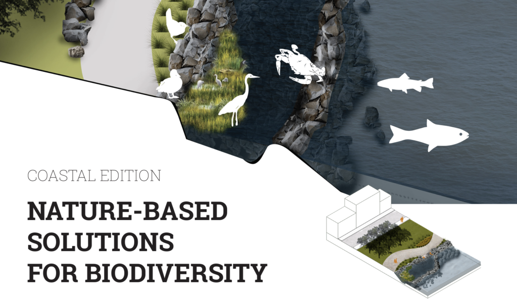 Image of a shoreline and the words Nature-Based Solutions for Biodiversity.