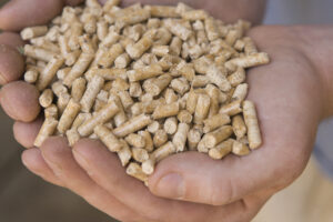 Extruded wood pellets held in cupped hands.