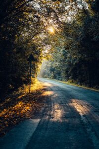 A road through woods.