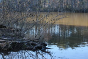 Lake Herrick in February 2024.