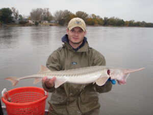 Martin Hamel standing in front of a river holding a pallid sturgeon.