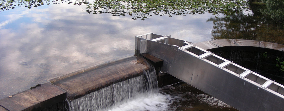 Fish ladder