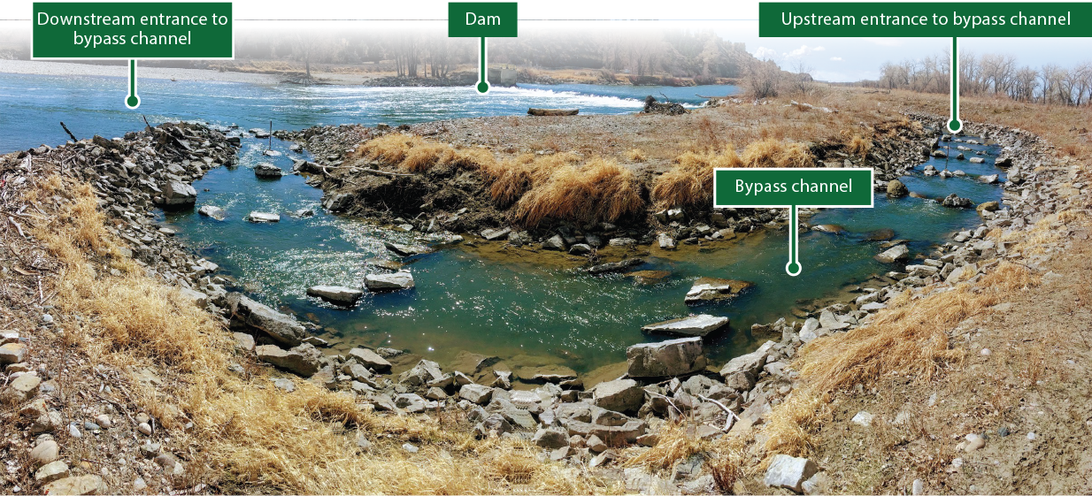 Nature-like fishway on Yellowstone River